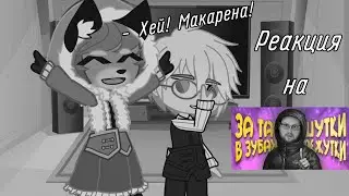•|| Реакция Зайчика на 
