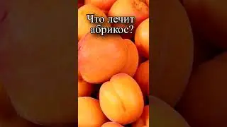 Какие болезни лечит абрикос?