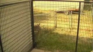 ESCAPE