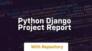 python django project report