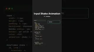 input shake animation with css 