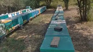 Салфетки от клеща с амитразом
