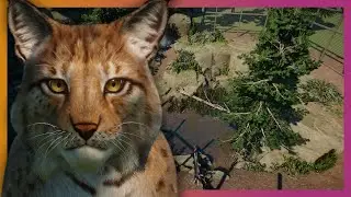 Eurasian Lynx Habitat | Planet Zoo