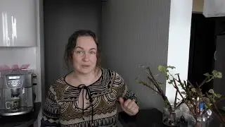 Народные укоренители: Ивовая вода, Мед, Картофельные ростки.Шокирующая правда об их эффективности