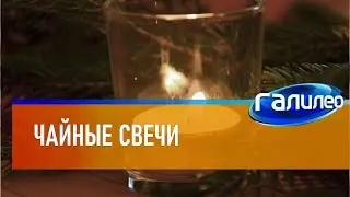 Галилео 🕯 Чайные свечи