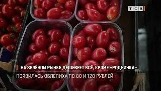 НА ЗЕЛЁНОМ РЫНКЕ ДЕШЕВЕЕТ ВСЁ, КРОМЕ «РОДНИЧКА»