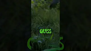 How To Make Windy Grass - Blender Tutorial 