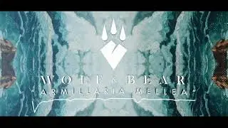 Wolf & Bear - Armillaria Mellea