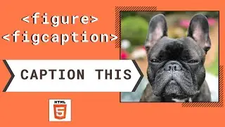 [HTML-Tutorial-16] figure & figcaption elements | Give a caption to your content | Web Development