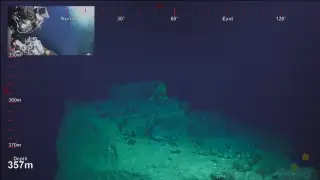 ROV SuBastian Dive 080 - Deep Sea Corals of PIPA