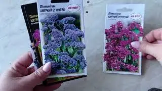 Посівна 2023. Яку землю я обрала для розсади. Насіння квітів .