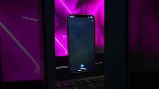 GOOGLE ASSISTANT VS ALEXA 