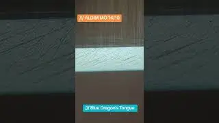 Blue Dragon's Tongue stone 