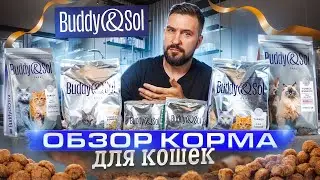 Обзор сухого корма Buddy&Sol для кошек | Что это за новый корм и каков он на вкус