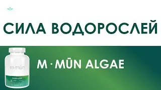 M-Mun Algae от Jeunesse Global