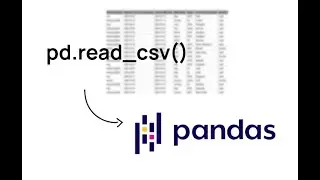 How to read a CSV with Python pandas (made easy)