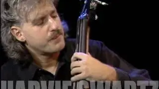 THE GUITAR SHOW with Harvie Swartz