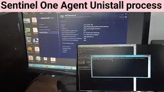 How to remove SentinelOne Agent through the Windows safe mode (Day-1)