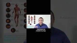 Расслабиться и спать 