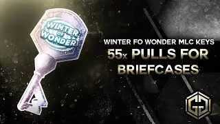 55x Key Pulls for the Winter of Wonder Briefcases / WWE Champions 🍀
