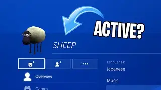 Me Searching 5 Letter PSN Names To See If They're Active
