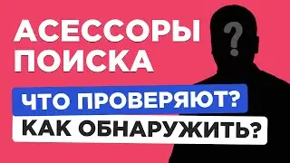 Асессоры Яндекс и Google. Как проверить, посещают ли сайт асессоры поиска?