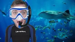 SUBNAUTICA First Playthrough! SWIMMIN' WITH THE FISHIES!