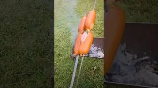 Еда шашлыки и сарделек 