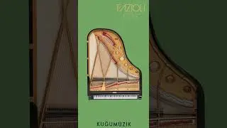 Sizin Fazioli piyanonuz hangisi? #piano #grandpianos #piyano