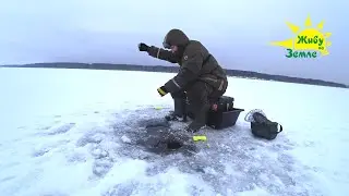 Рыбалка на Сало. Лещ Клевал. Было дело 👍