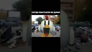 Когда выгнали из дома #чг #мем #веселье #chickengun #толчикен #чикен_ган