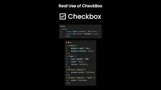 Real Use of Checkbox HTML & CSS