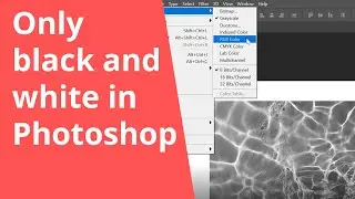Photoshop is only black and white