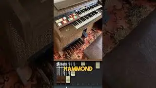 FREE Vst's For Music Producers In FL Studio 