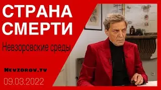 Невзоровcкие среды (маленькие). Украина, война, Экономика, Зеленский, Путин и красная кнопочка.