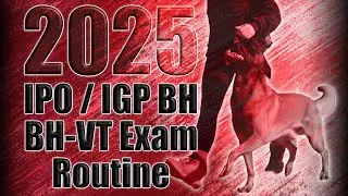 THE NEW schutzhund IPO IGP BH BH-VT Exam Routine 2025 After Rule Change