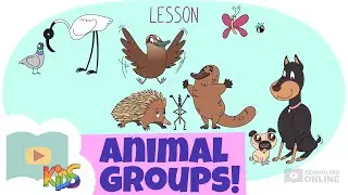 Different Animal Groups! | Billie the Platypus