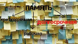 Долгосрочная память и её особенности