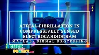 Matlab Signal Processing Project- Atrial Fibrillation Compresively Electrocardiogram- ClickMyProject