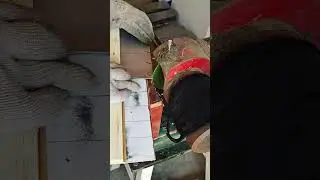 Serrated pimp scraping tool- Good tools and machinery make work easy