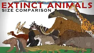 Random Extinct Animals Size Comparison Vol.1 (Smilodon, Woolly Mammoth, Titanoboa, Gigantopithecus)