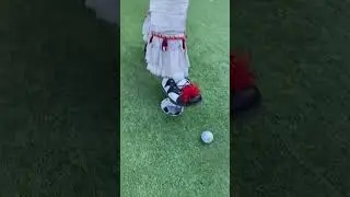 Вот так встреча😅😂