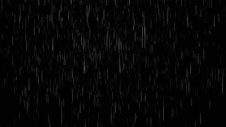 4K Rain Stock Footage Video - Free Download | No Copyright By 5 Minute Edits