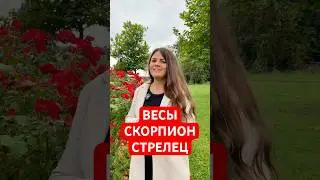 ВЕСЫ, СКОРПИОН, СТРЕЛЕЦ - ГОРОСКОП на ОСЕНЬ 2024 #гороскоп #астрология  #эзотерика