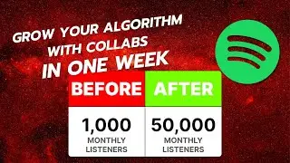 Small Artists - Do Spotify Collabs to Grow Your Algorithm and Followers