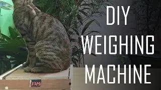DIY Weighing Machine || HX711 || TM1637 || Load Cell