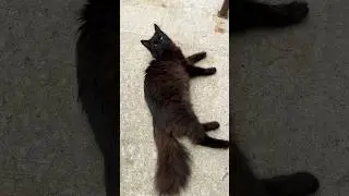 С утра не срамши🙈