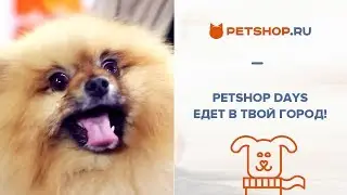 PETSHOP DAYS - АНЯ MAGIC, LISSA AVEME, ГЛЕБ КОРНИЛОВ И ЧУБАКА В ТВОЕМ ГОРОДЕ!