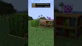 texture packs