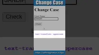 JavaScript Change Case | Type Only on Capital Letter